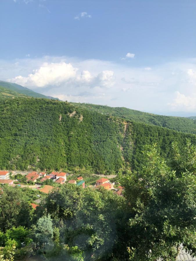 מלון Peshkopi Bujtina Vrenezi מראה חיצוני תמונה